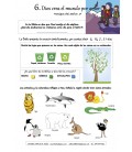 ficha 6