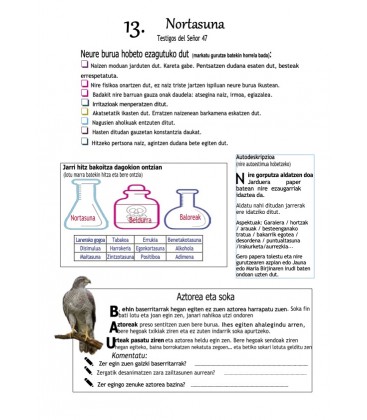 13 euskaraz